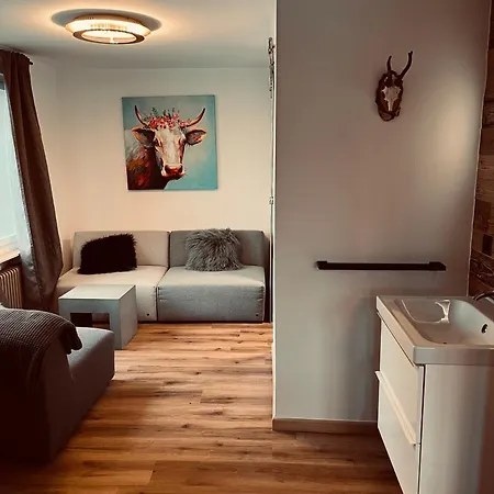 Bellevue Boutique Am Brienzersee / 3* Iseltwald
