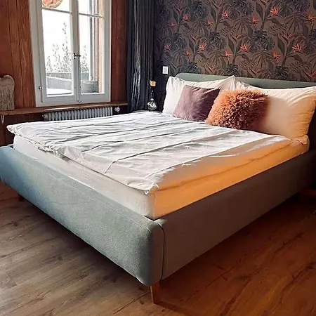 Boutique Bellevue Am Brienzersee Interlaken 宾馆 3*