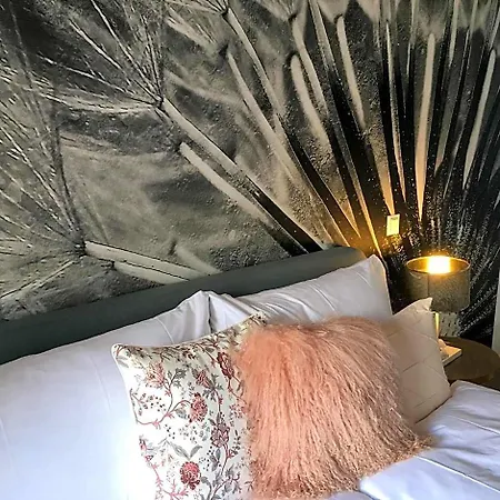 Boutique Bellevue Am Brienzersee Interlaken 宾馆 3*