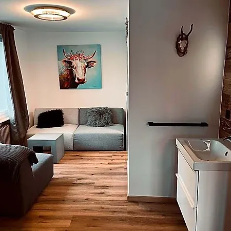 Boutique Bellevue Am Brienzersee Interlaken 宾馆