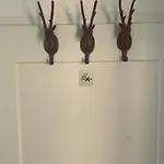 イン Boutique Bellevue Am Brienzersee Interlaken イゼルトヴァルト