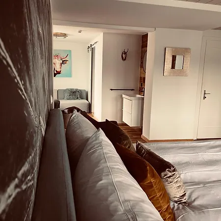 Bellevue Boutique Am Brienzersee / 3*